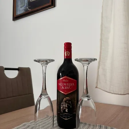 Sunce Apartament Sokobanja