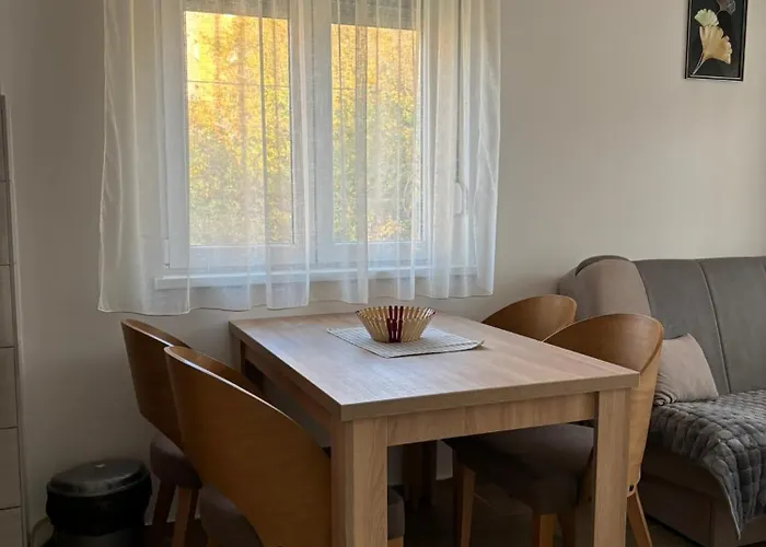 Jasmina Apartman * סוקו בניה